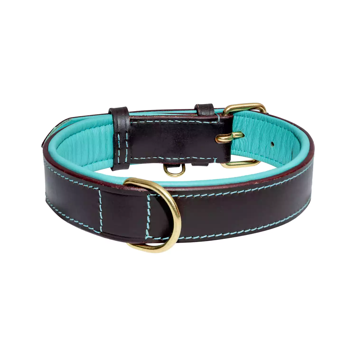 leather dog collar turquoise back view