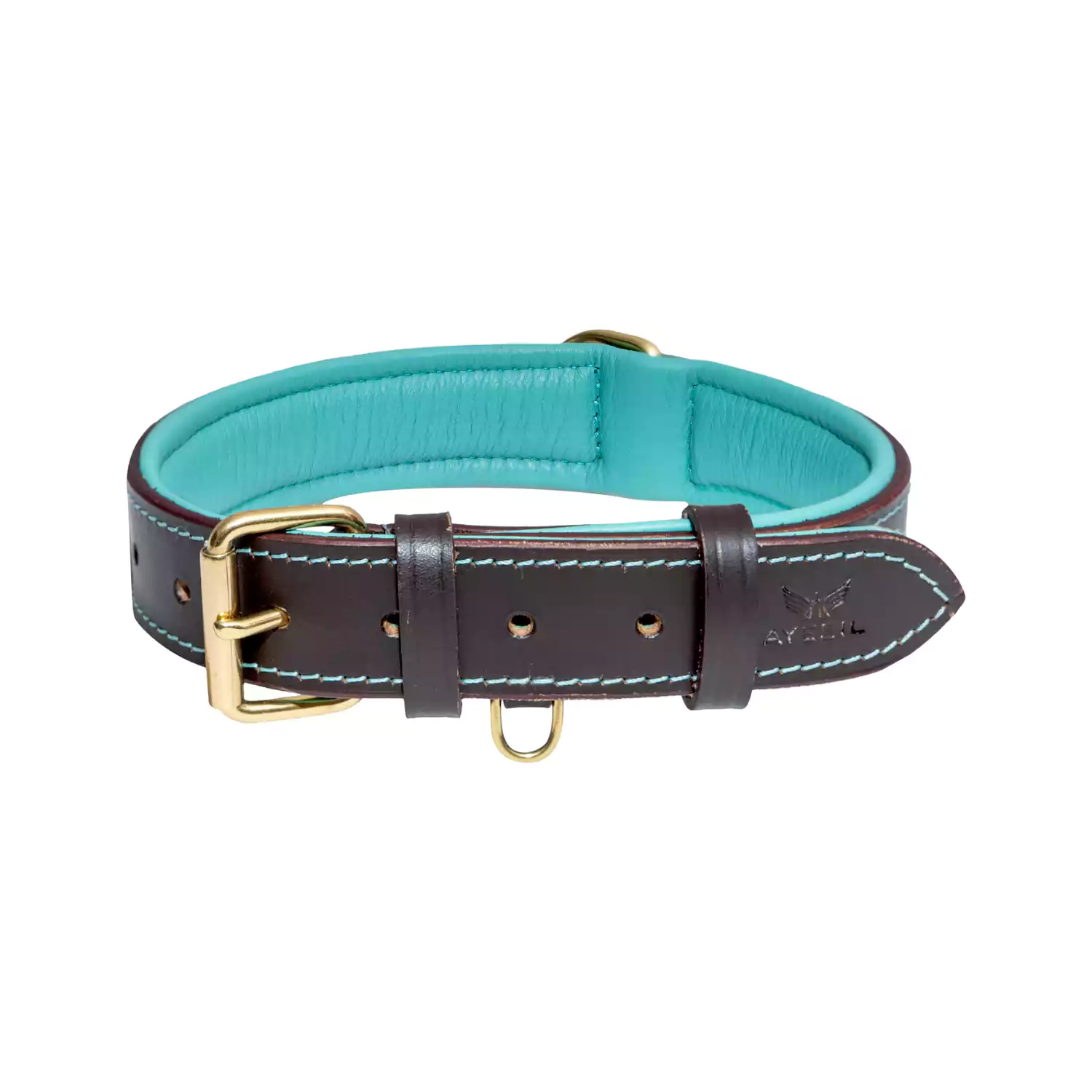 leather dog collar turquoise front view
