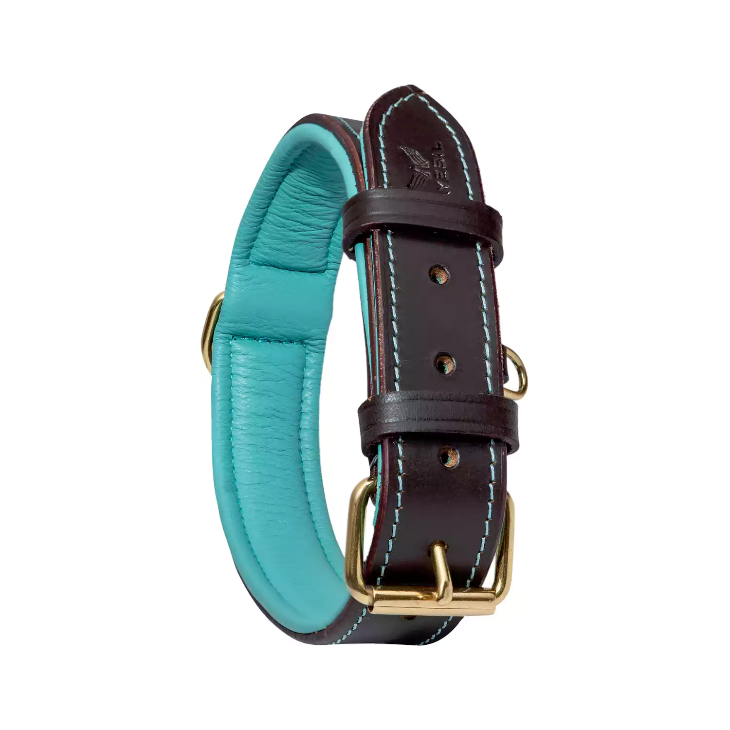 leather dog collar turquoise standing view