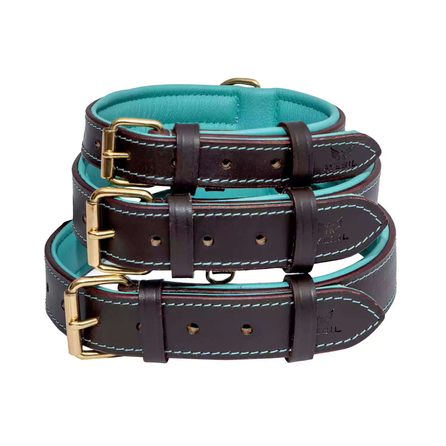 leather dog collar turquoise three sizes
